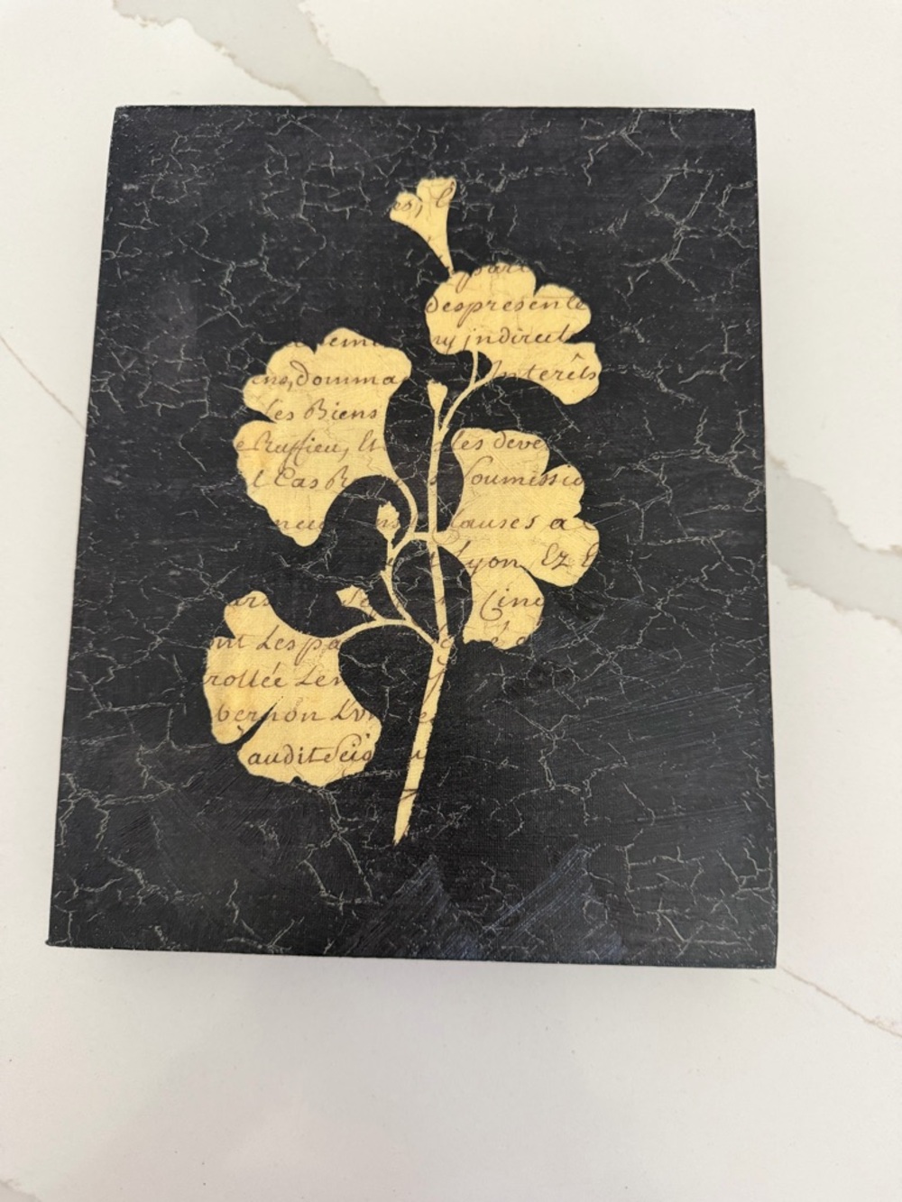 Decoupage IV Black & Beige Botanical Wall Art by Yuna